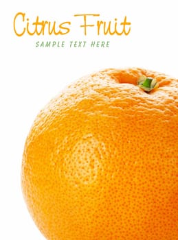 Orange isolated on white background with copy space. Cellulite skin