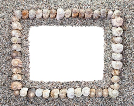 Frame made of natural seashells on sand, isolated