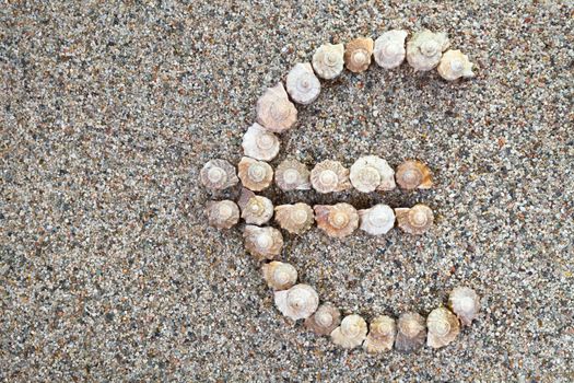 Euro sign made of seashells on sand with copy space
