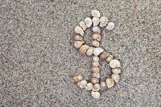 Dollar sign made of natural seashells on sand with copy space