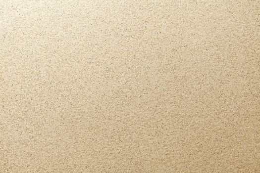 Sandy beach background. Detailed sand texture. Top view
