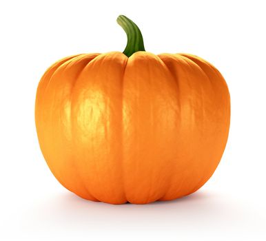 Pumpkin on white background, 3d render