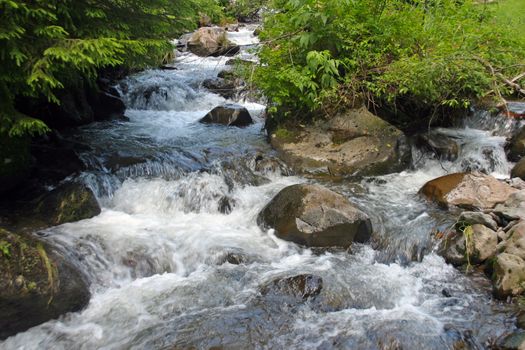 A mountain creek running swiftly among the rocks.