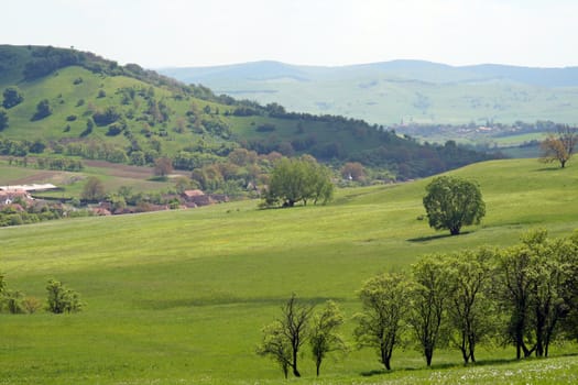 A green field with a settlement in the background.