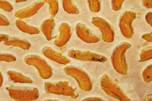 Closeup of a fresh-baked yummy apricot pie