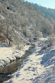 A stream in winter with snowy trees