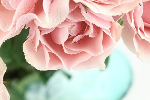 Abstract of a beautiful bouquet of pink tea roses. Shallow depth of field.