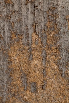 natural grey and brown wood texture