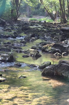 mountain creek nature spring scene