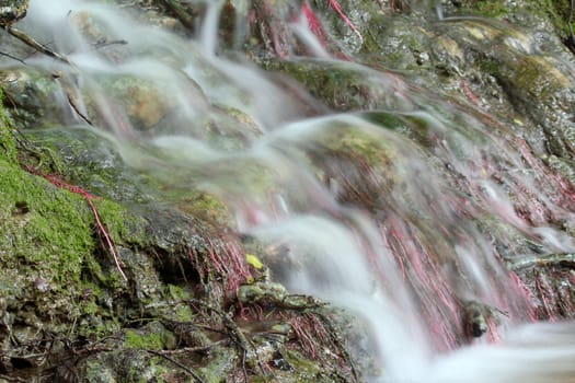 water spring scene