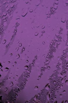 background with water drops in margenta color