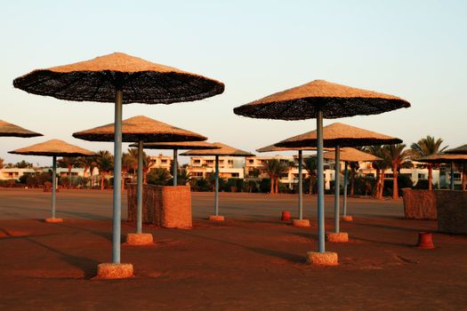 Sunrise under Egyptian parasols on the beach