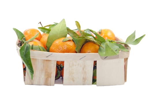 Orange mandarins with green leaves in the box isolated on white background