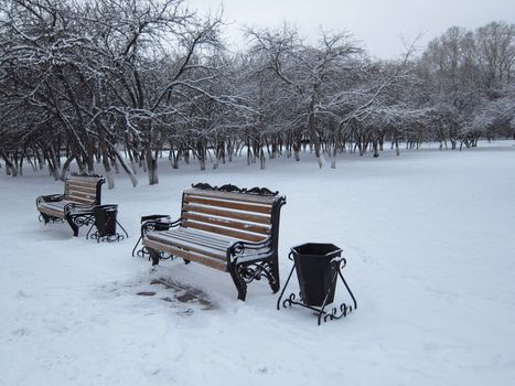 Two benches in snowy park.