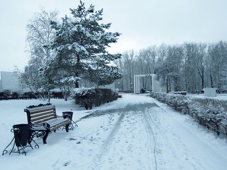 Bench in snowy park.