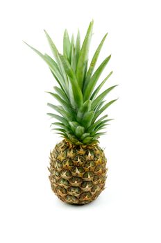 Pineapple Full Body isolated on white background
