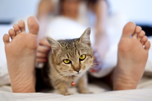 cat in bed with woman feet