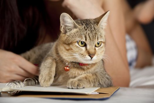 Cat in bed with woman and book