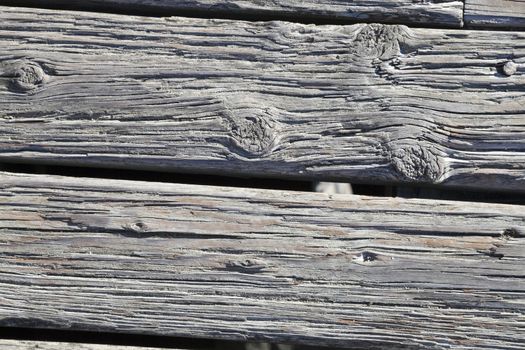 The old wood texture