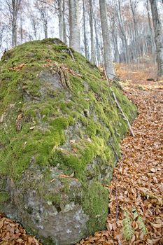 Closeup of a big stone covered with moss