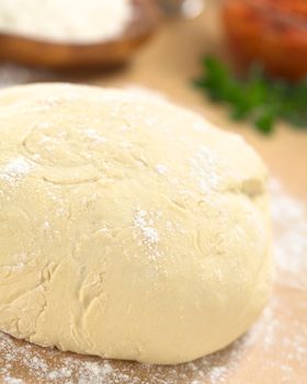 Fresh homemade pizza dough on floured wooden board with pizza ingredients (flour, tomatosauce and oregano) in the back (Selective Focus, Focus one third into the pizza dough) 