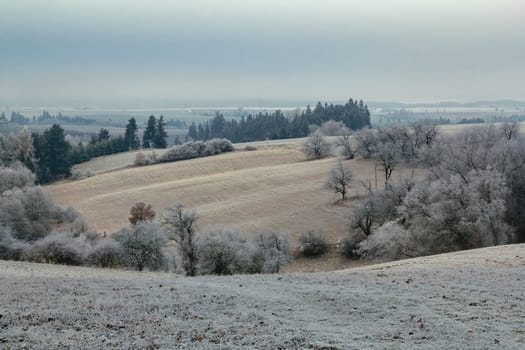 overcast winter scenery with frozen landscape in winter