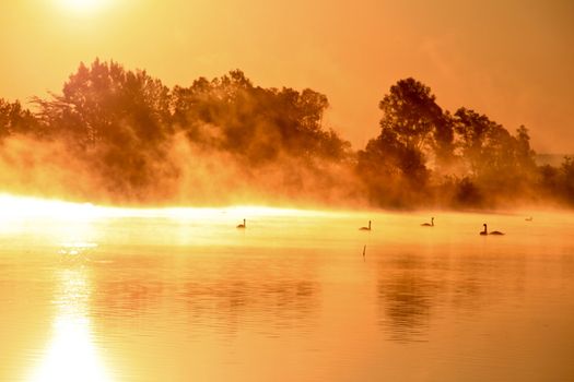 Sunset covers the lake with golden light