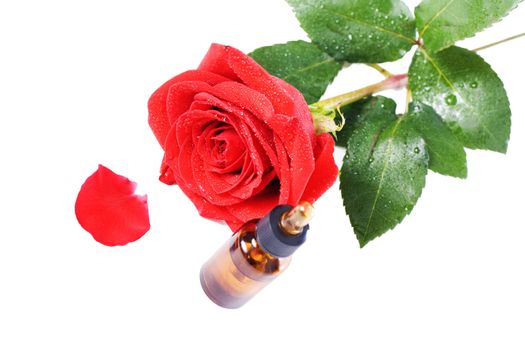 Bottles of essential oil and red rose isolated