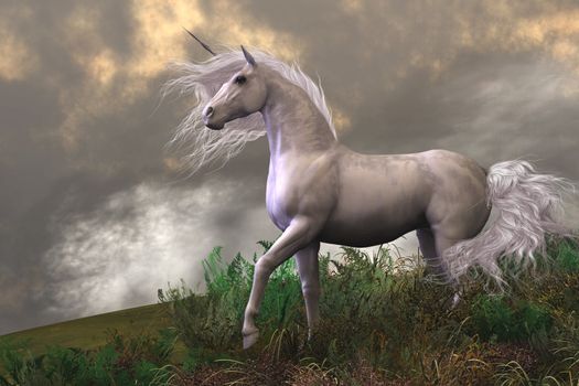 Clouds and mist surround a beautiful unicorn stallion with a white coat.