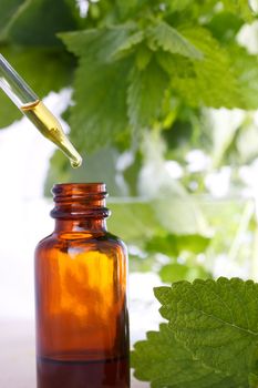 Herbal medicine with dropper bottle and mints