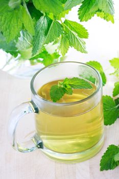 Mint tea with fresh mint leaves 