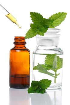 Herbal medicine dropper bottle with mint leaves