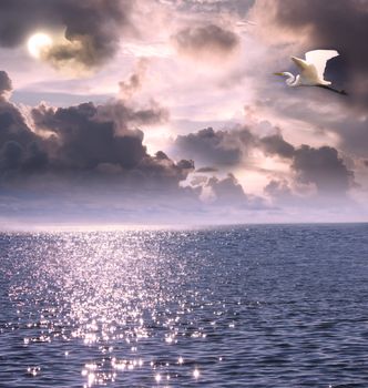 Beautiful white egret flying over the ocean under the moon light