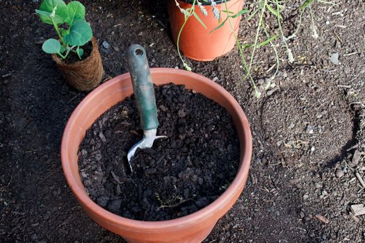 Garden small shovel and pots with plants