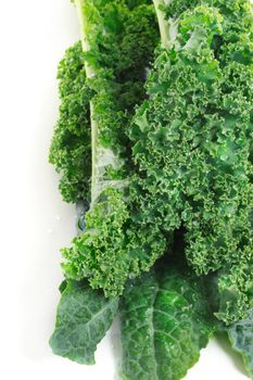 Fresh kale on a white background