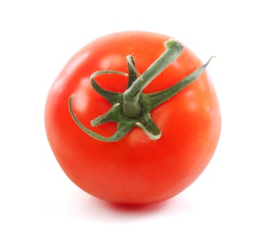 Tomato top isolated on white