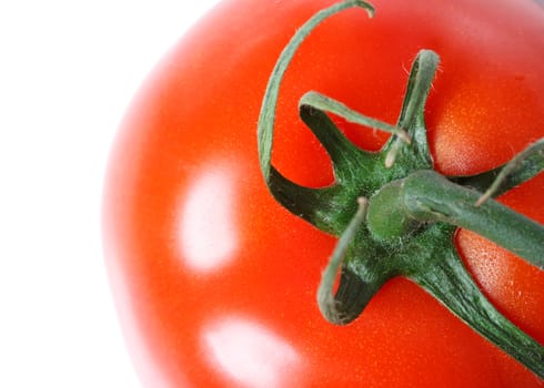 Tomato top close-up isolated on white