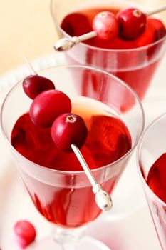 Berry juice with cranberry garnish 