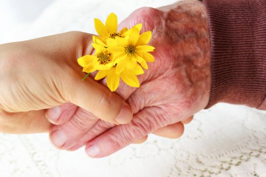 Senior Lady and Young Woman Holding Hands - Giving Flowers (Friendship, Care, Service)