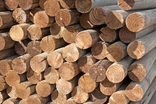 wood logs on a pile outside stacked