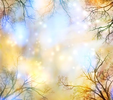 Abstract lights background with tree border (glowing yellow and blue)