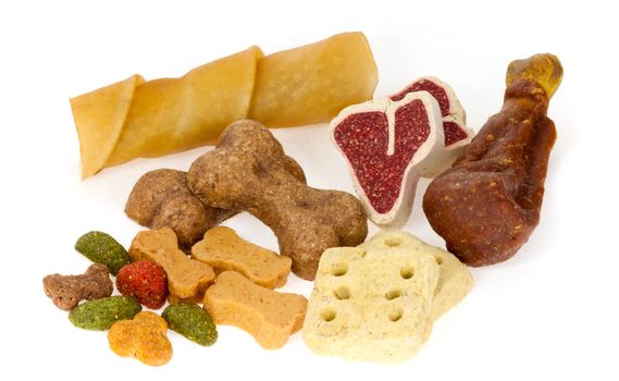 Dog treats on white background