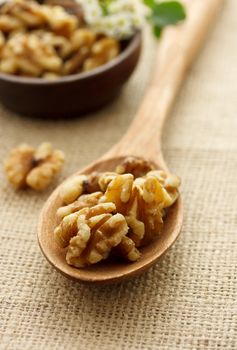 Walnuts in wooden spoon
