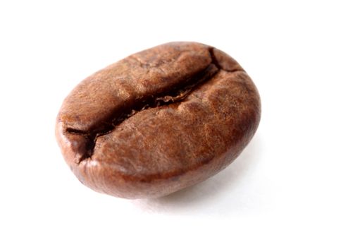 Isolated Coffee Bean