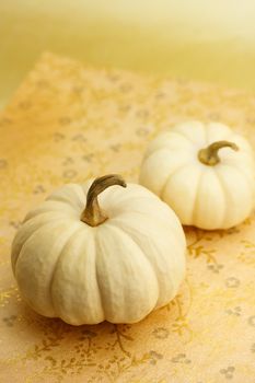 Two white miniature pumpkins on gold background
