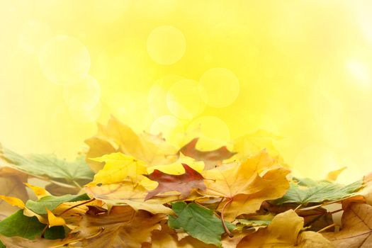 Autumn leaves over abstract lights  background