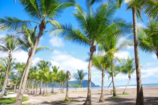 Beautiful tropical beach with palm trees in Jaco, Costa Rica