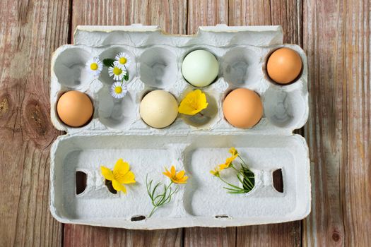 Organic colorful eggs with small flowers