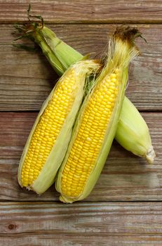 Organic yellow corn on wooden table