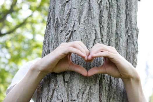 Fingers formed in the shape of a heart on a tree trunk